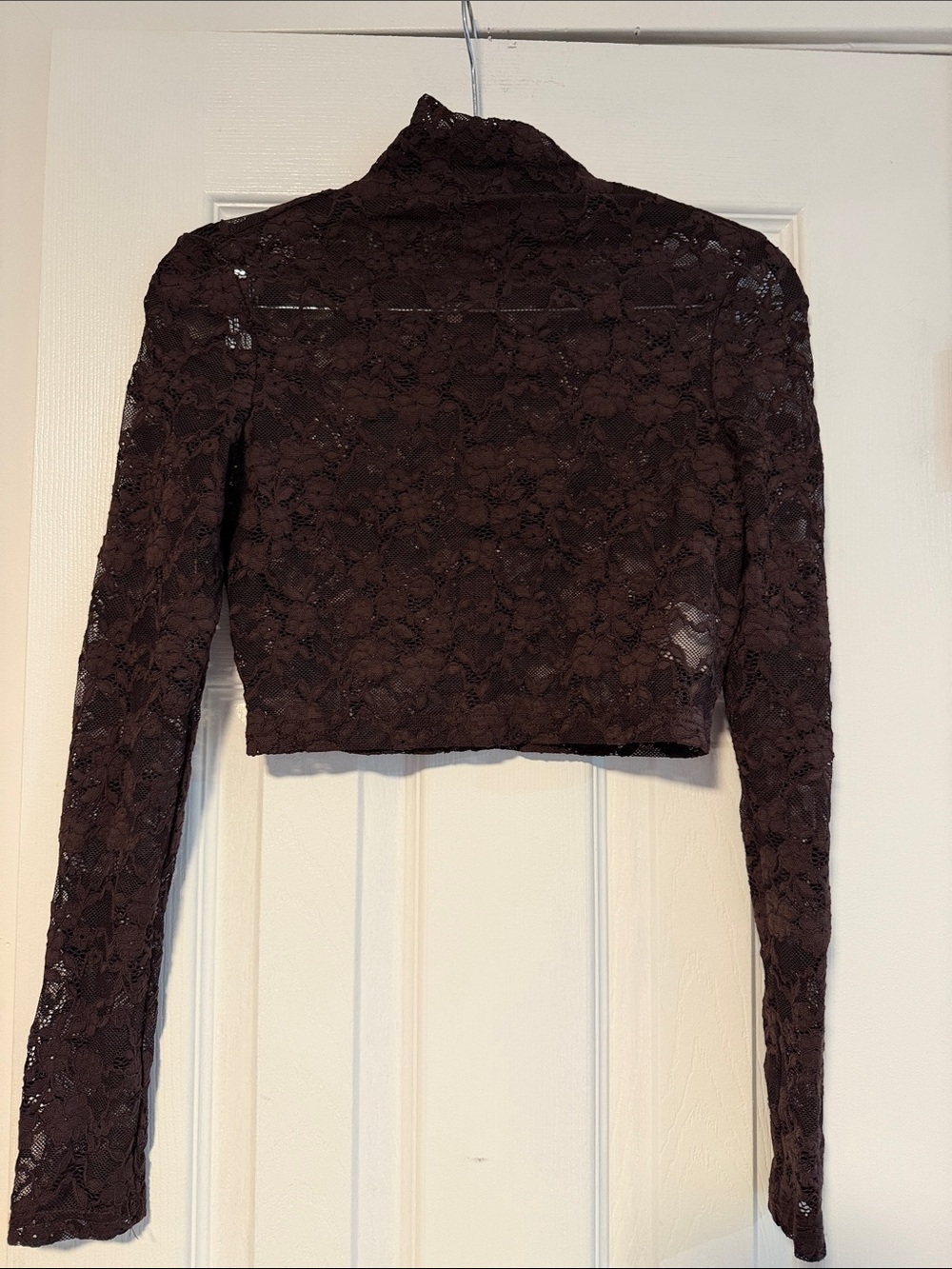Women's Long-Sleeve Lace Crop Top in Dark Plum
